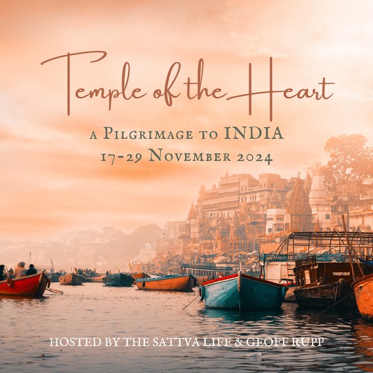 India Pilgrimage The Sattva Life